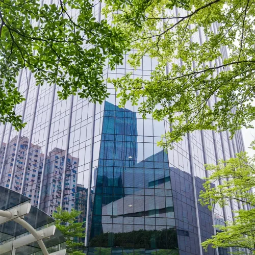 Glass-fronted office building seen through green tree branches